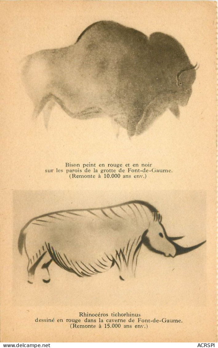 24 Dordogne  Bison Peint En Rouge Et En Noir Rhinocéros Tichorhinus        N° 14 \MN6035 - Otros & Sin Clasificación