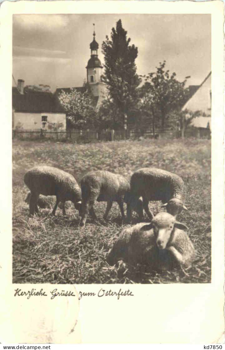 Ostern - Schafe - Easter