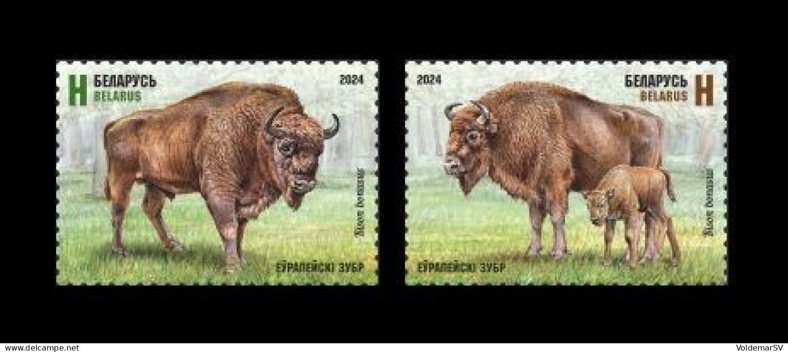 Belarus 2024 Mih. 1564/65 Fauna. European Bison MNH ** - Bielorrusia