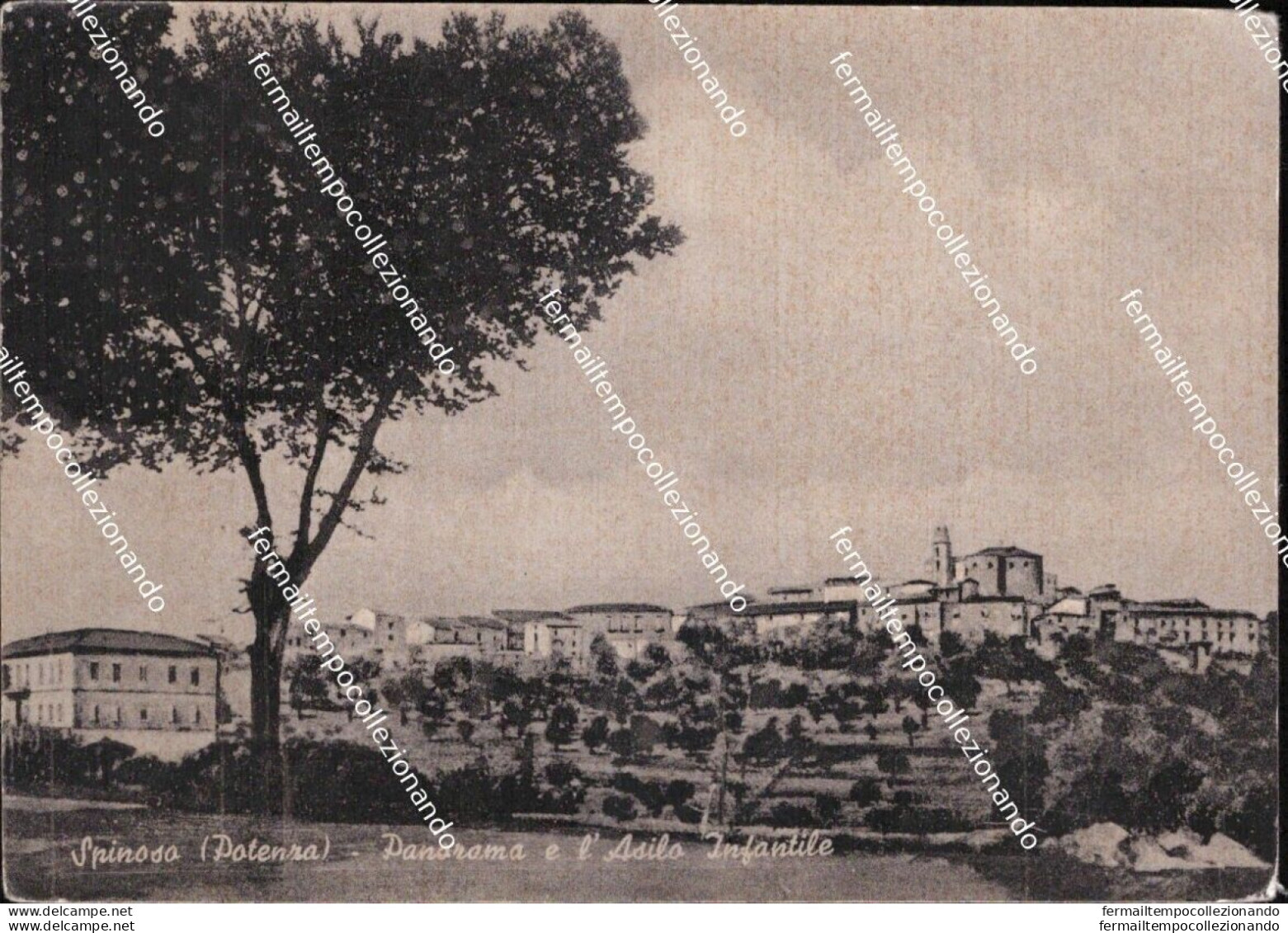 Bs770 Cartolina Spinoso Panorama E L'asilo Infantile Provincia Di Potenza - Potenza