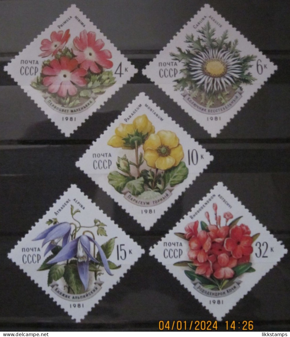 RUSSIA ~ 1981 ~ S.G. NUMBERS 5129 - 5133, ~ FLOWERS. ~ MNH #03616 - Ungebraucht