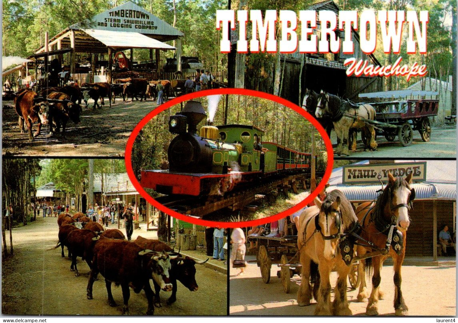 9-5-2024 (4 Z 33) Australia - NSW  - Timbertown In Wauchope - Pferde