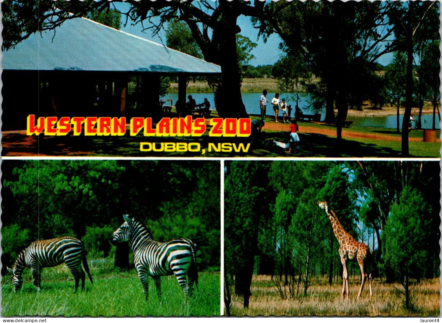 9-5-2024 (4 Z 33) Australia - NSW - Dubbo Western Plain Zoo - Dubbo