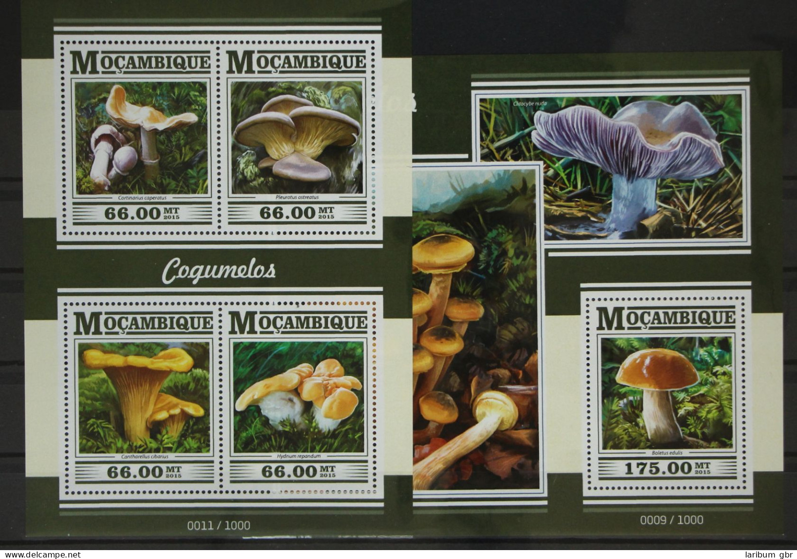 Mosambik 7989-7992 Und Block 1038 Postfrisch Kleinbogen / Pilze #GG170 - Mozambico