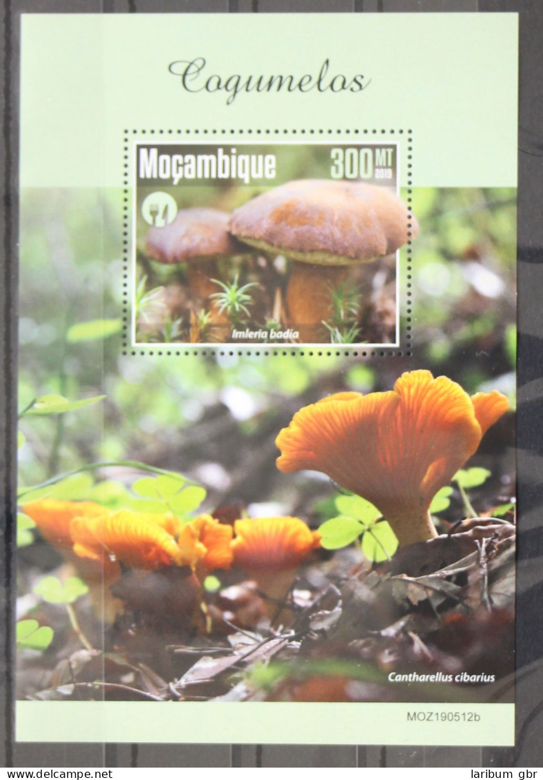 Mosambik Aus Jahrgang 2019 Postfrisch Block / Pilze #GG187 - Mozambico