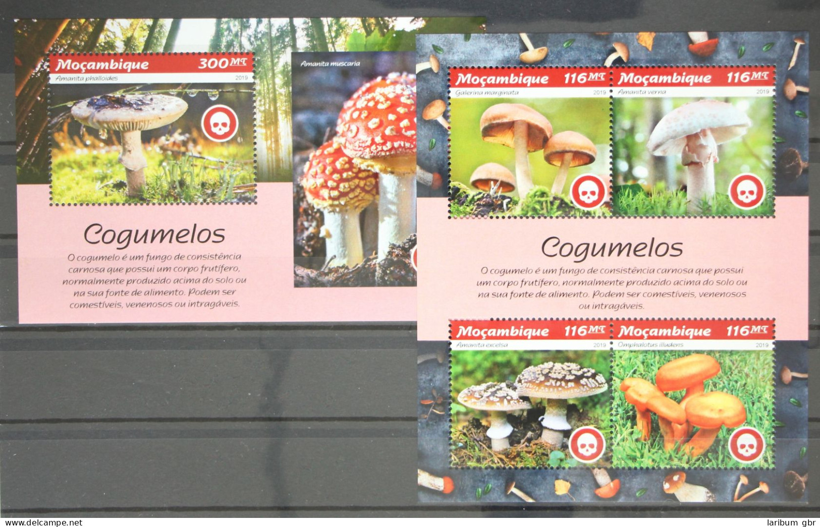 Mosambik Aus Jahrgang 2019 Postfrisch Kleinbogen Und Block / Pilze #GG182 - Mozambique