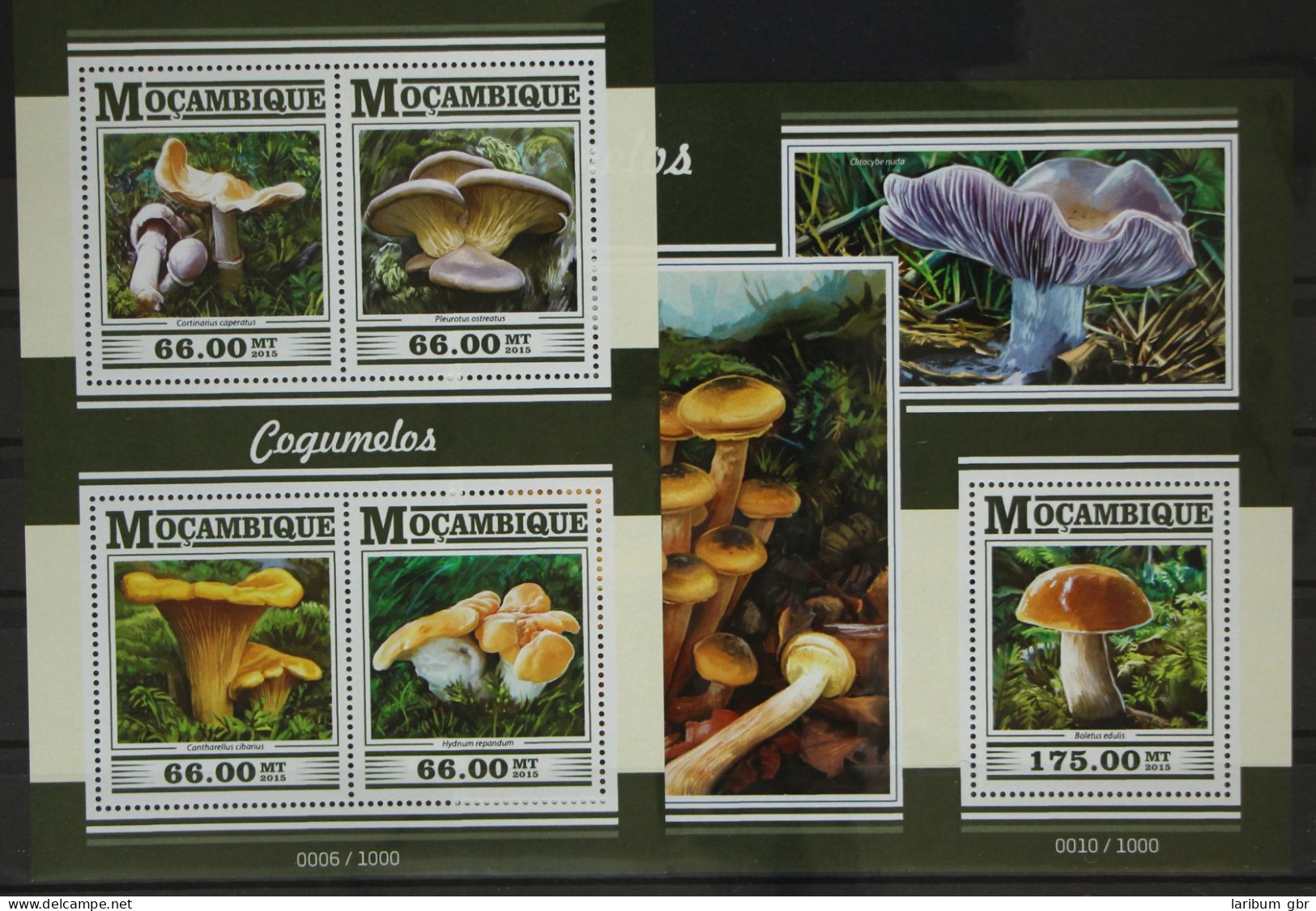 Mosambik 7989-7992 Und Block 1038 Postfrisch Kleinbogen / Pilze #GG171 - Mozambique