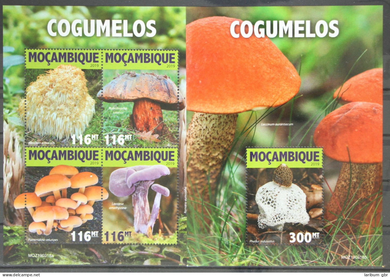 Mosambik Aus Jahrgang 2019 Postfrisch Kleinbogen Und Block / Pilze #GG184 - Mozambico