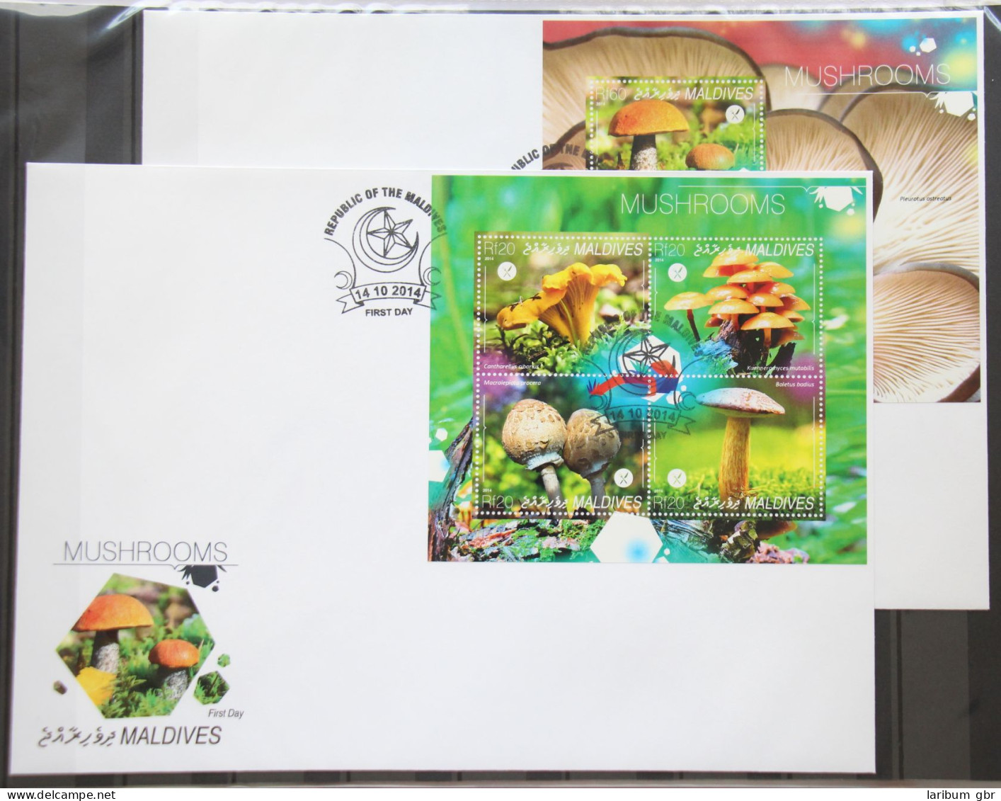 Malediven 5395-3598 Und Block 742 Gestempelt Kleinbogen / Als FDC #GG524 - Maldives (1965-...)