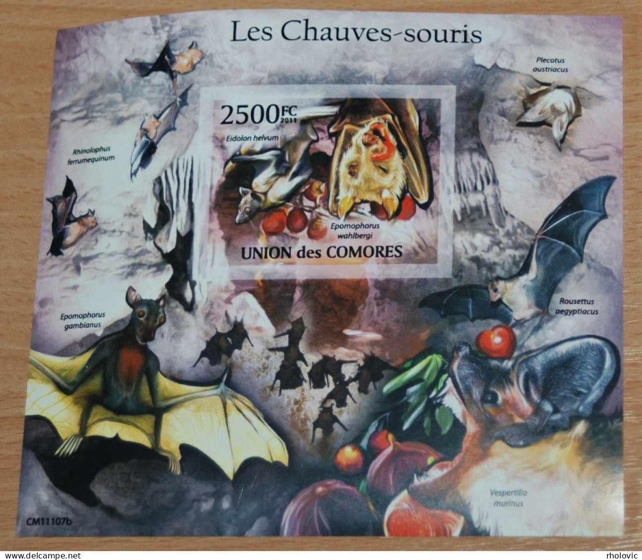 COMORES 2011, Bats, Animals, Fauna, Imperf, Mi #B632, Souvenir Sheet, MNH**, CV: €13 - Chauve-souris