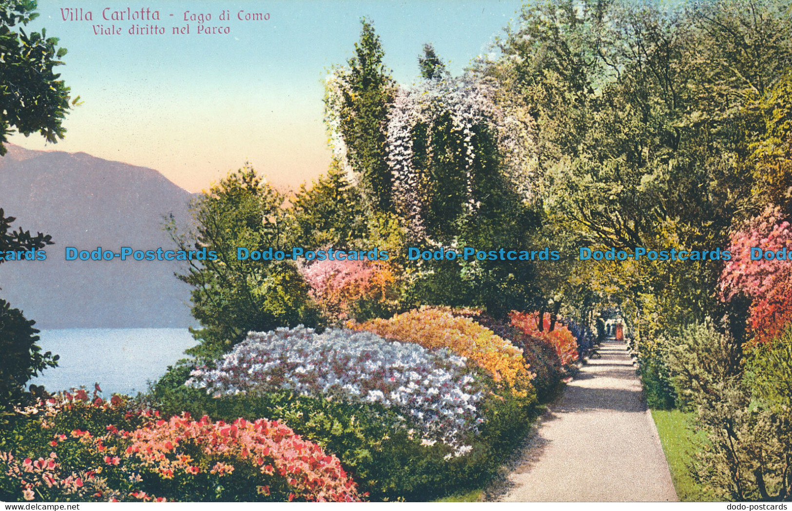 R046171 Villa Carlotta. Lago Di Como. Viale Diritto Nel Parco. Brunner - World