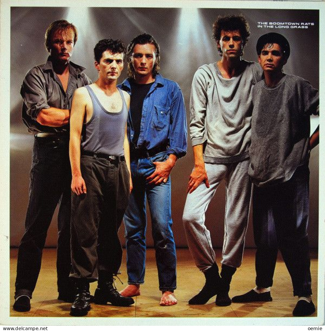 THE BOOMTOWN RATS  IN THE LONG GRASS - Andere - Franstalig