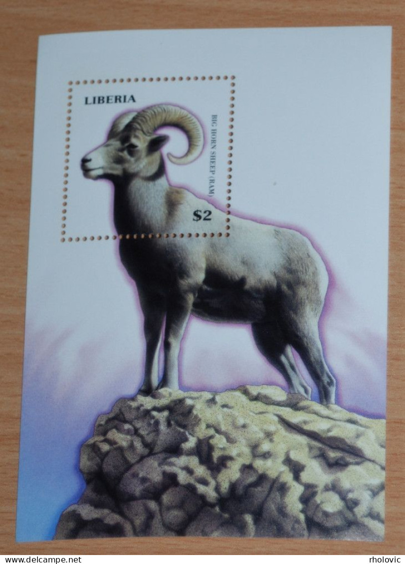 LIBERIA 1999, Big Horn Sheep, Animals, Fauna, Mi #B214, Souvenir Sheet, MNH** - Sonstige & Ohne Zuordnung
