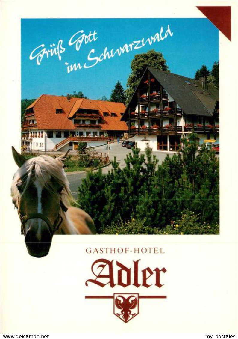 73944416 St_Roman_Wolfach Gasthof Hotel Adler Im Schwarzwald Pferd - Wolfach