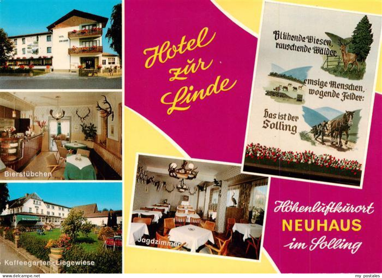73944361 Neuhaus_Solling Hotel Zur Linde Jagdzimmer Bierstuebchen Kaffeegarten L - Holzminden