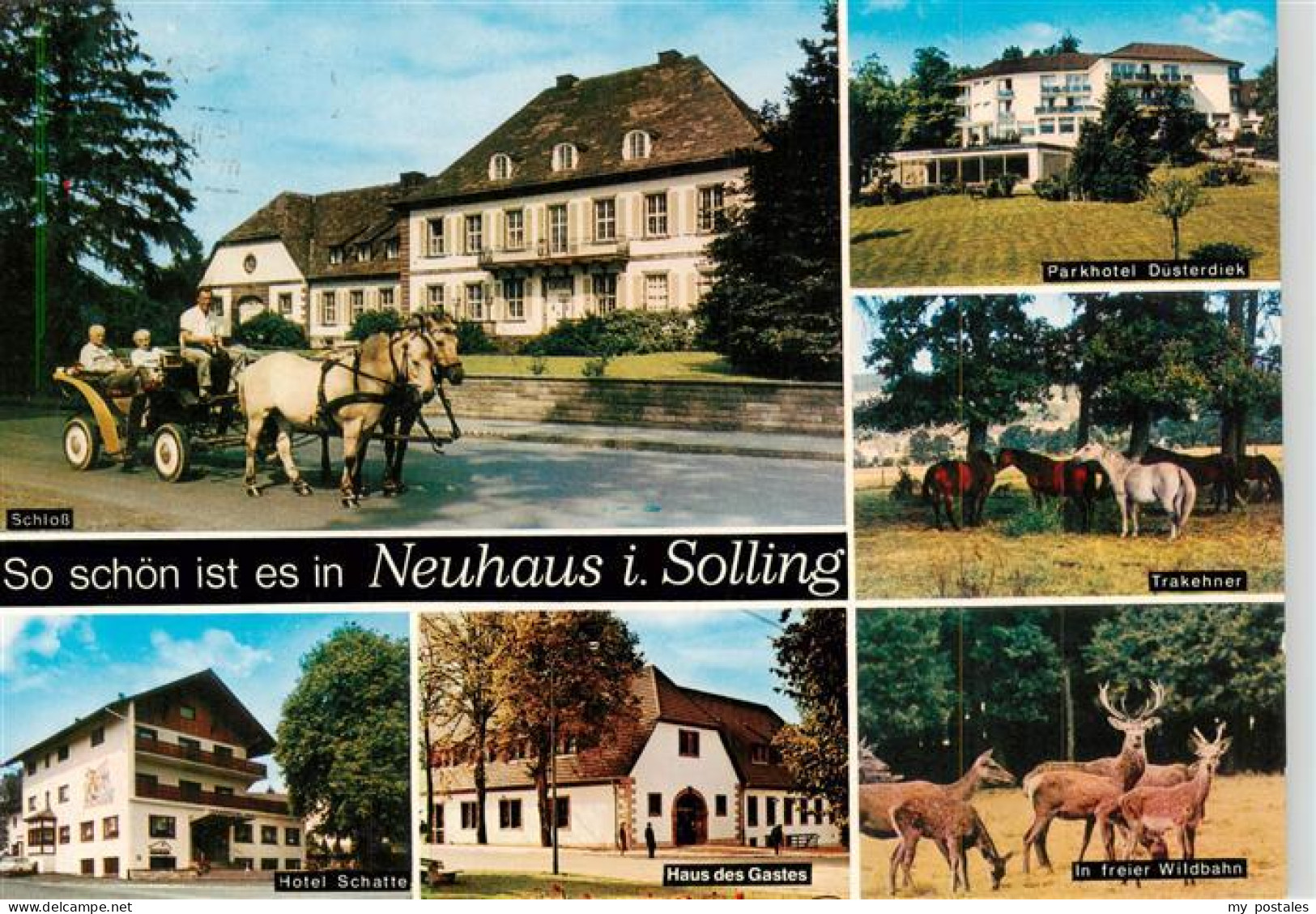 73944347 Neuhaus_Solling Parkhotel Duesterdiek Schloss Trakehner Pferde Hotel Ha - Holzminden