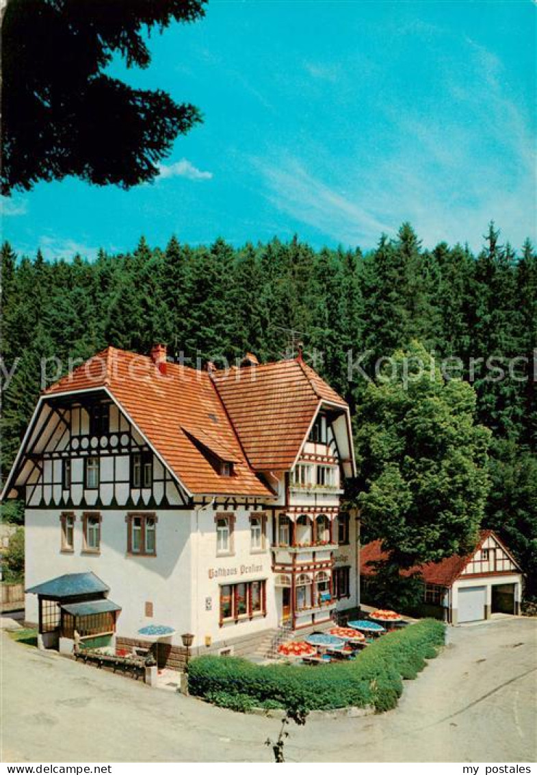 73864207 Bonndorf Schwarzwald Jagdgasthaus Hotel Pension Steinasaege Bonndorf Sc - Bonndorf