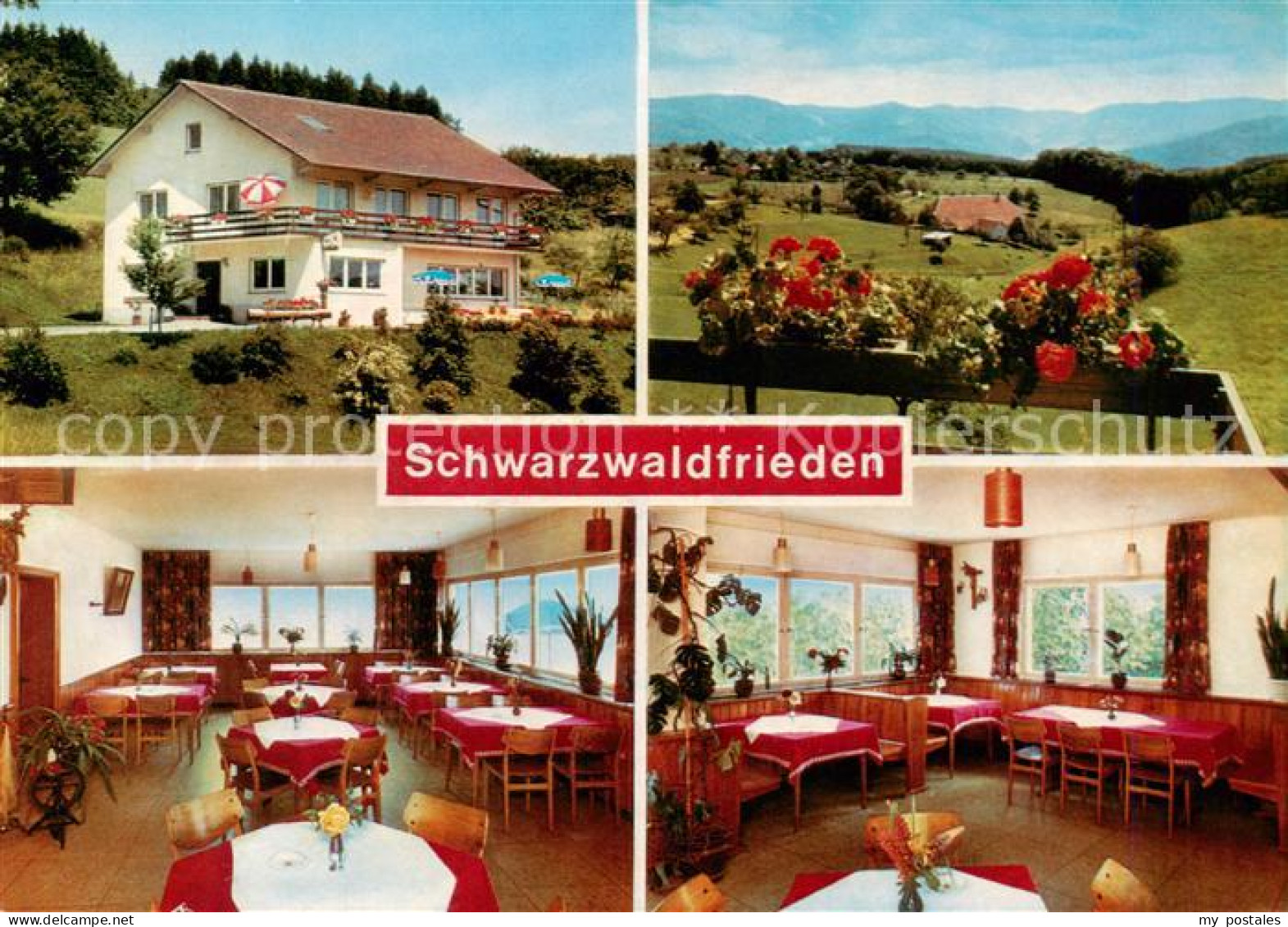 73864157 Selbig Biederbach Hoehencafe Pension Schwarzwaldfrieden Gastraeume Pano - Autres & Non Classés
