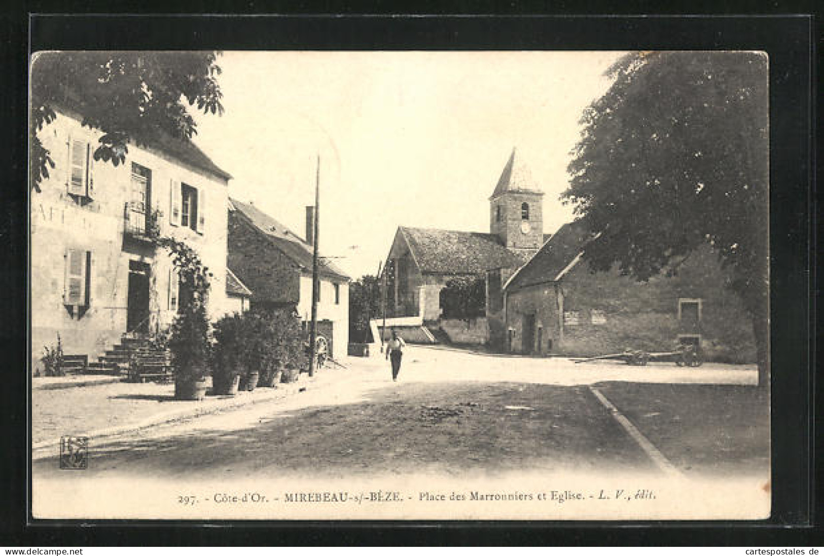 CPA Mirebeau-sur-Bèze, Place Des Marronniers Et Eglise  - Mirebeau