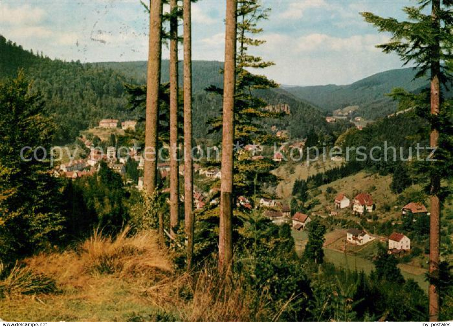73152566 Bad Herrenalb Panorama Blick Vom Wurstberg Schwarzwald Bad Herrenalb - Bad Herrenalb