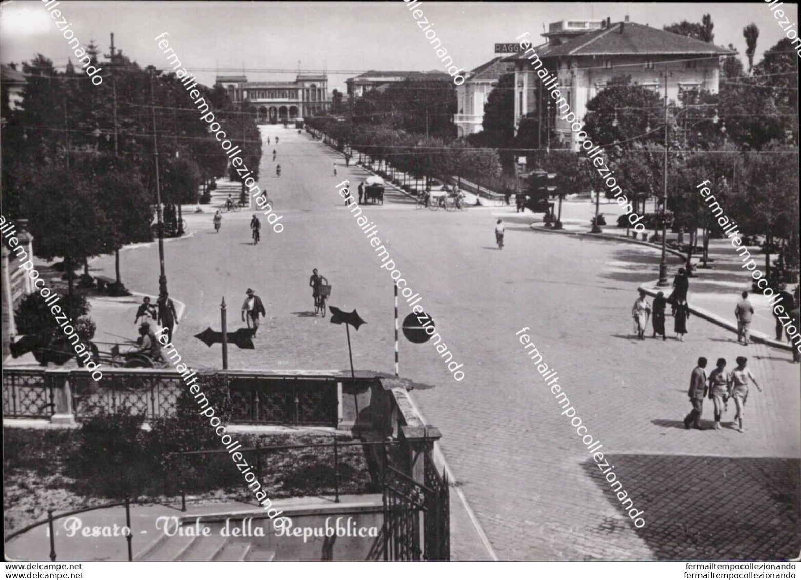 Am802 Cartolina Pesaro Viale Della Repubblica Marche - Varese