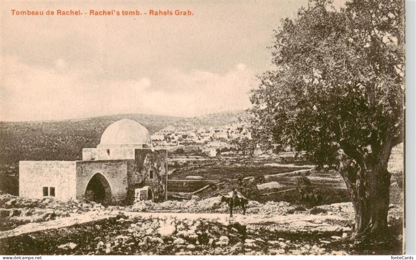 73913663 Bethlehem  Yerushalayim Israel Rahels Grab - Israel