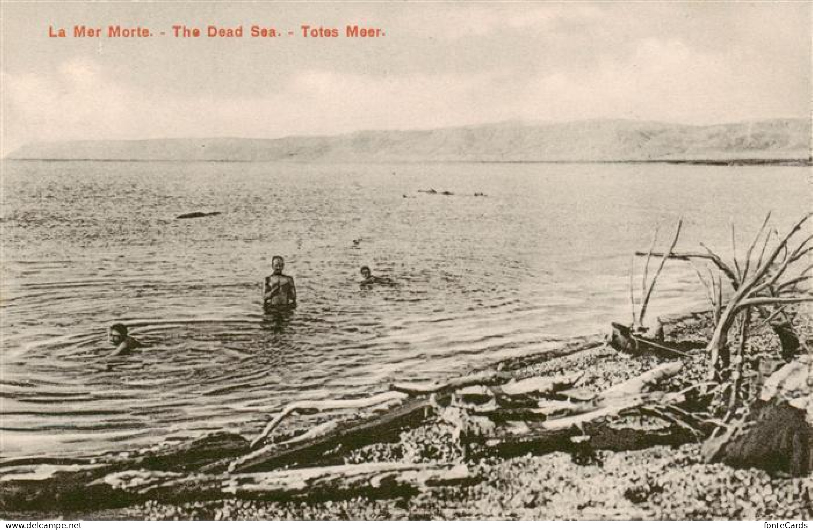 73913592 Dead Sea Totes Meer Israel Seepanorama - Israel