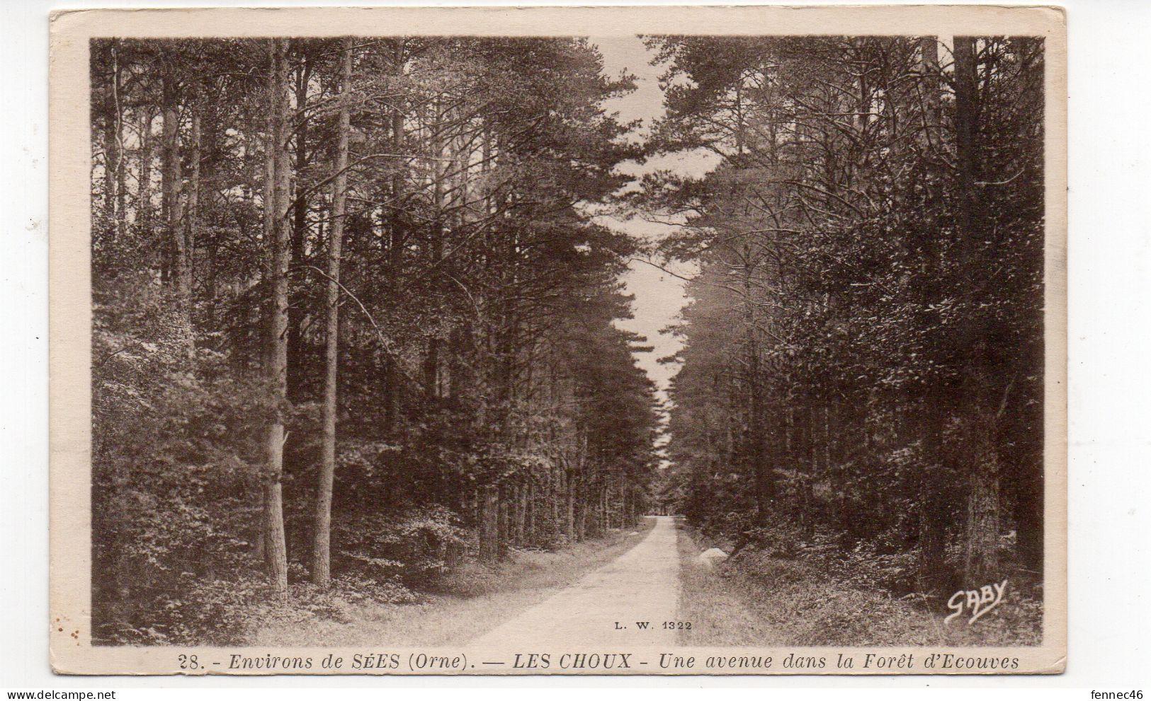 61 - Environs De SEES - Les Choux - Une Avanue Dans La Forêt D'Ecouves (L75) - Sees