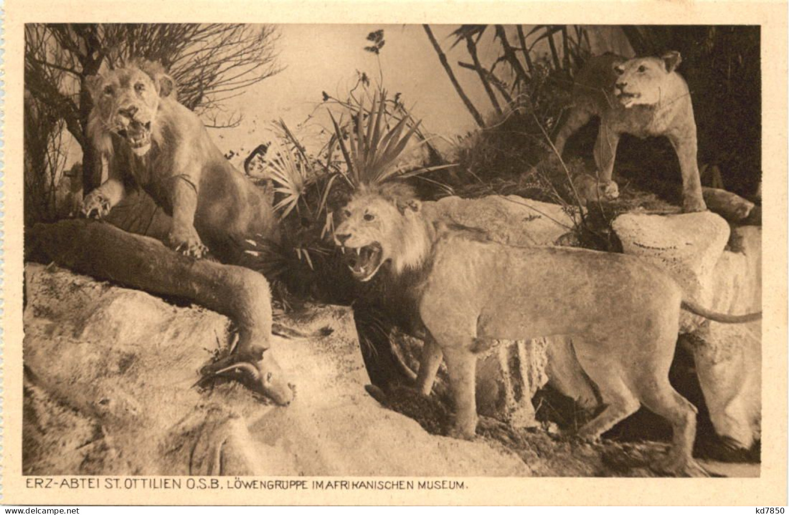 St. Ottilien, Erzabtei, Löwengruppe Im Afrikanischen Museum - Landsberg