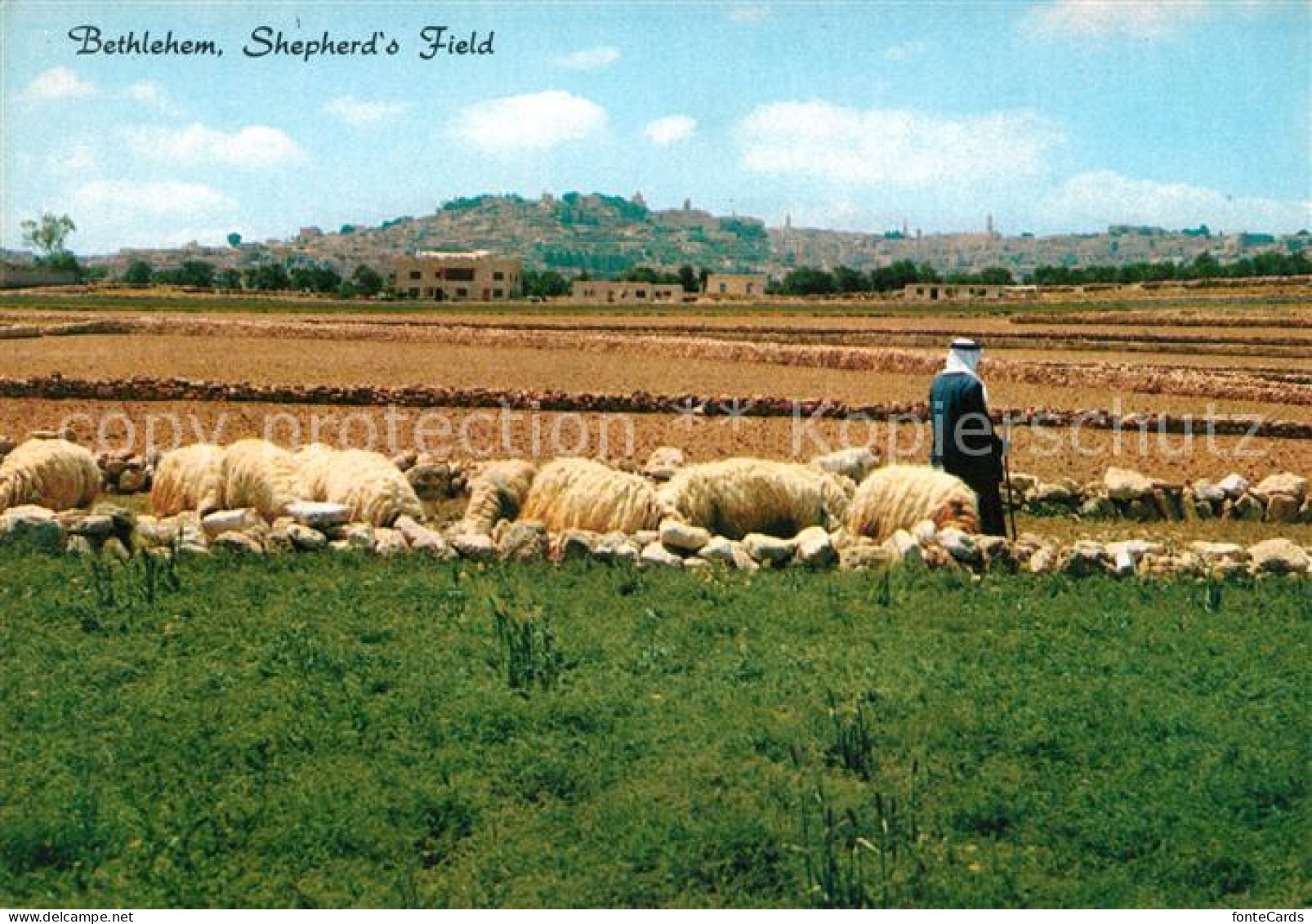 73070140 Bethlehem Yerushalayim Shepherd S Field Bethlehem Yerushalayim - Israel