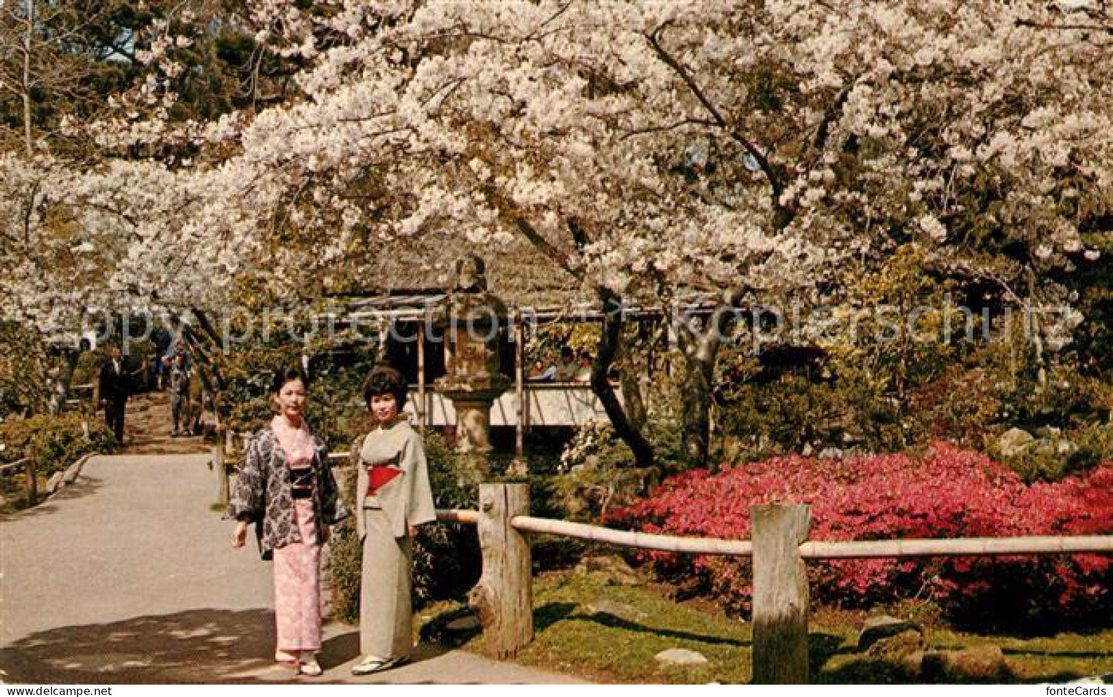 73062873 San_Francisco_California Japanese Tea Garden In Golden Gate Park - Andere & Zonder Classificatie