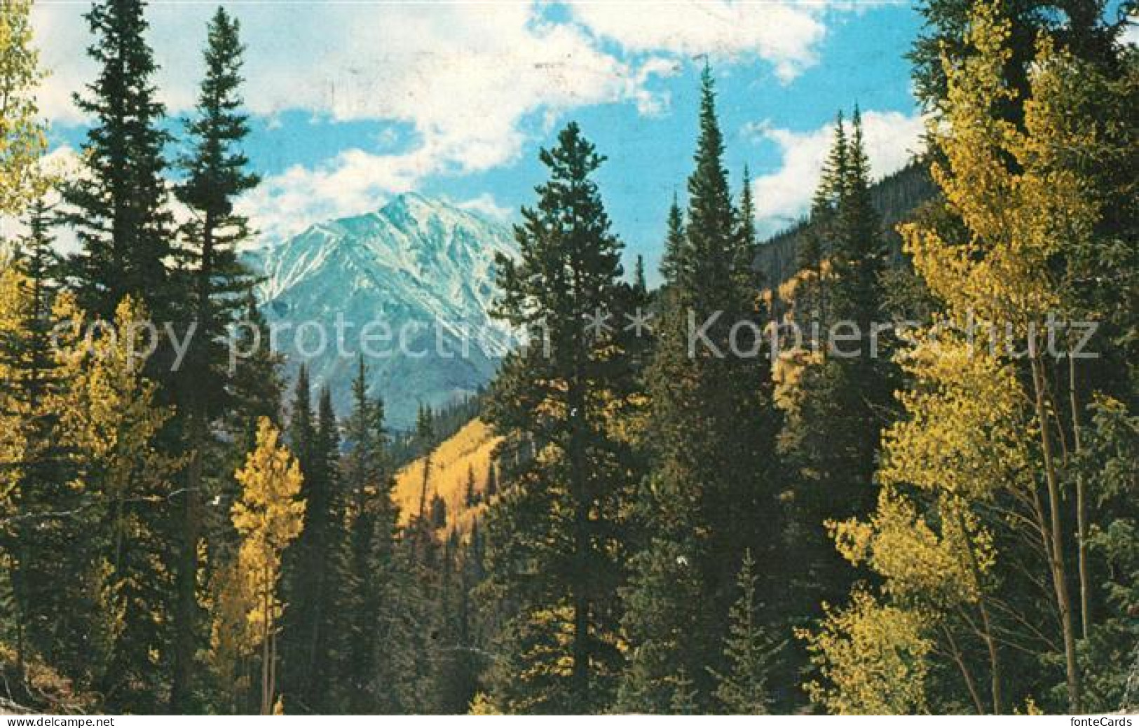 73061588 Denver Colorado Torreys Peak Denver Colorado - Andere & Zonder Classificatie