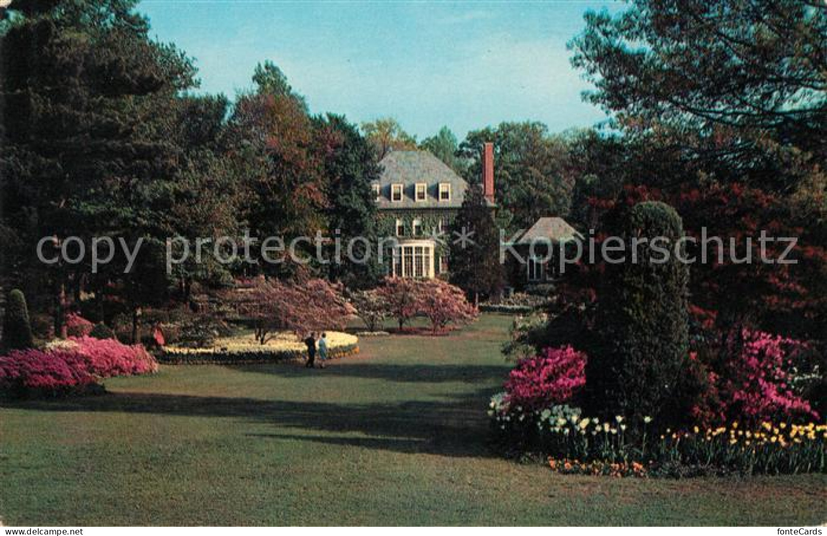 73061577 Baltimore_Maryland Sherwood Gardens - Sonstige & Ohne Zuordnung