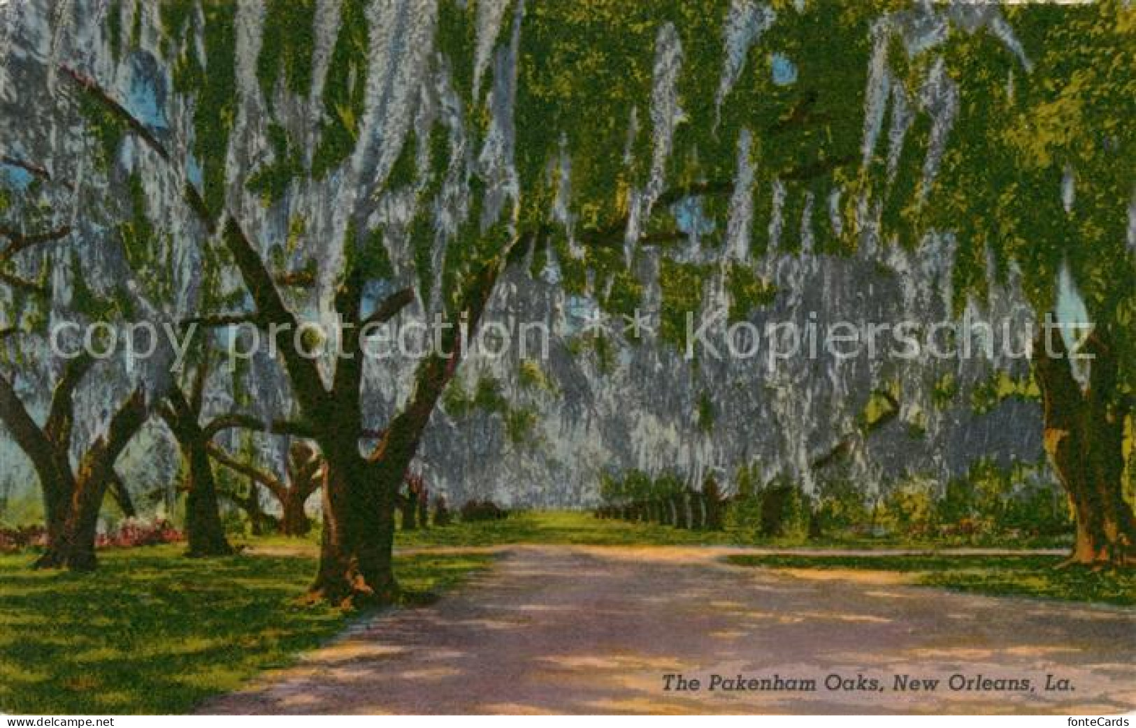 73061521 New_Orleans_Louisiana The Pakenham Oaks - Andere & Zonder Classificatie