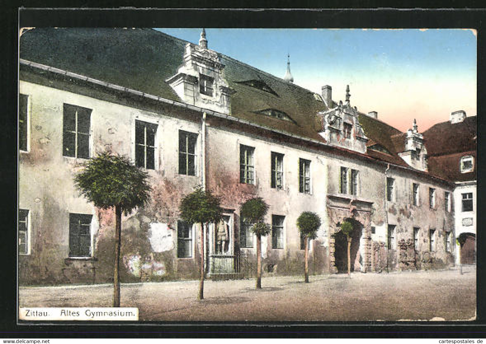 AK Zittau, Altes Gymnasium Im Sonnenschein  - Zittau