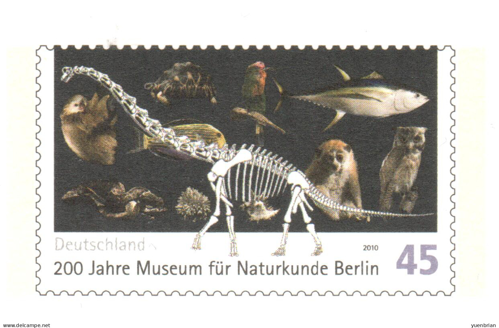 Germany 2010, Bird, Birds, Postal Stationary, Pre-Stamped Post Card, Owl, Dinosaurs, Turtle, Snake, MNH** - Gufi E Civette