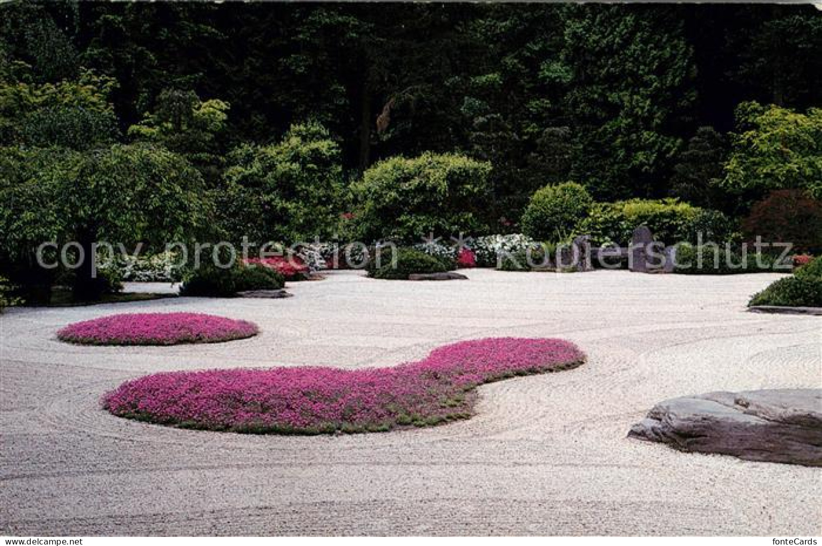 73061448 Portland_Oregon Flat Garden With Dianthus Tiny Rubies - Altri & Non Classificati