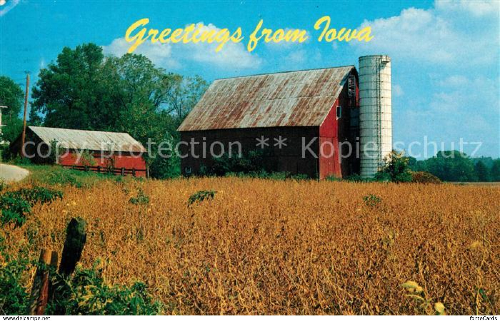 73061427 Iowa Soybean Field Late Summer In Iowa - Autres & Non Classés