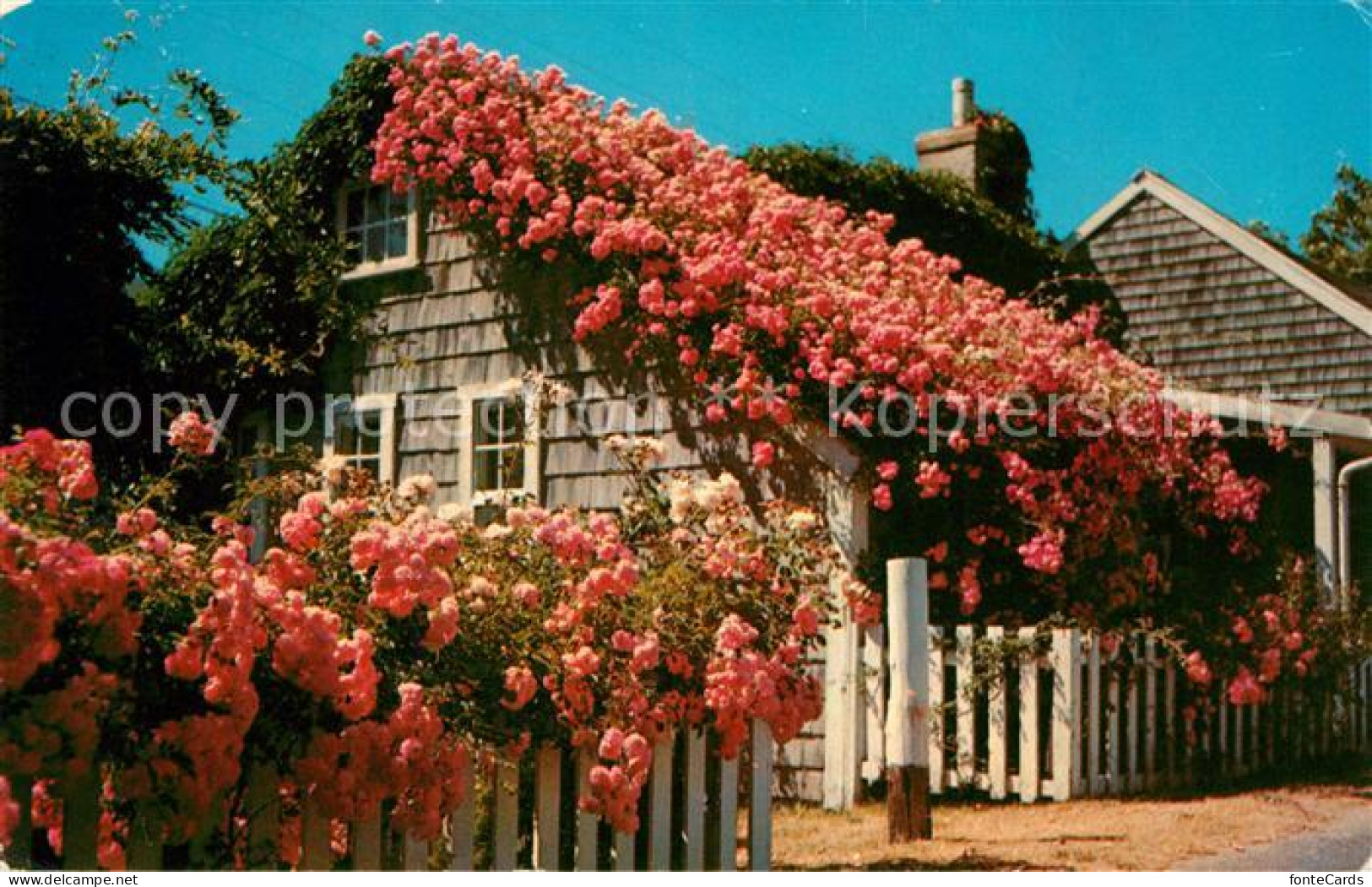 73060701 Cape Cod Mass. Rose Covered Cottages Cape Cod Mass. - Other & Unclassified