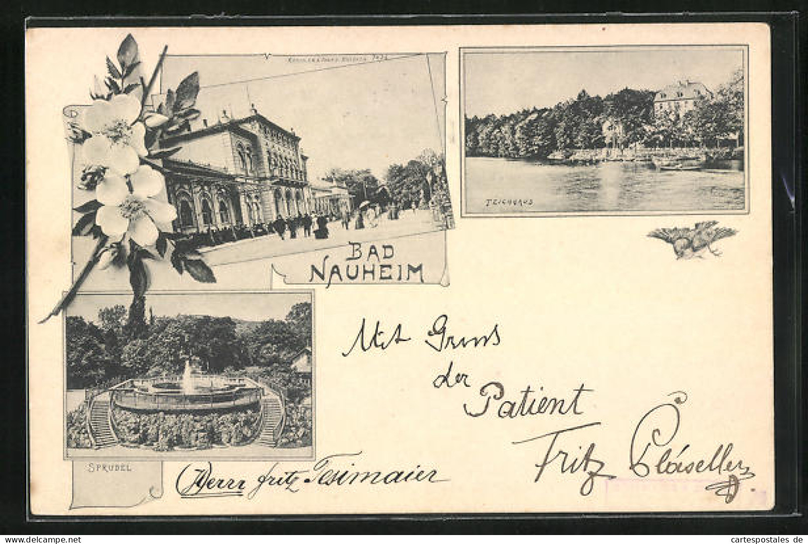 AK Bad Nauheim, Teichhaus, Sprudel, Kurhaus  - Bad Nauheim