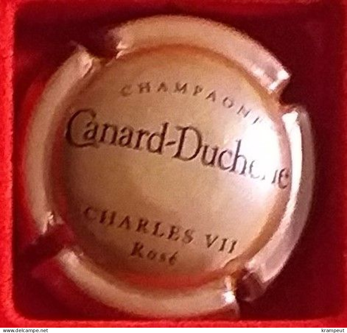 P28  Canard Duchene 76b - Altri & Non Classificati
