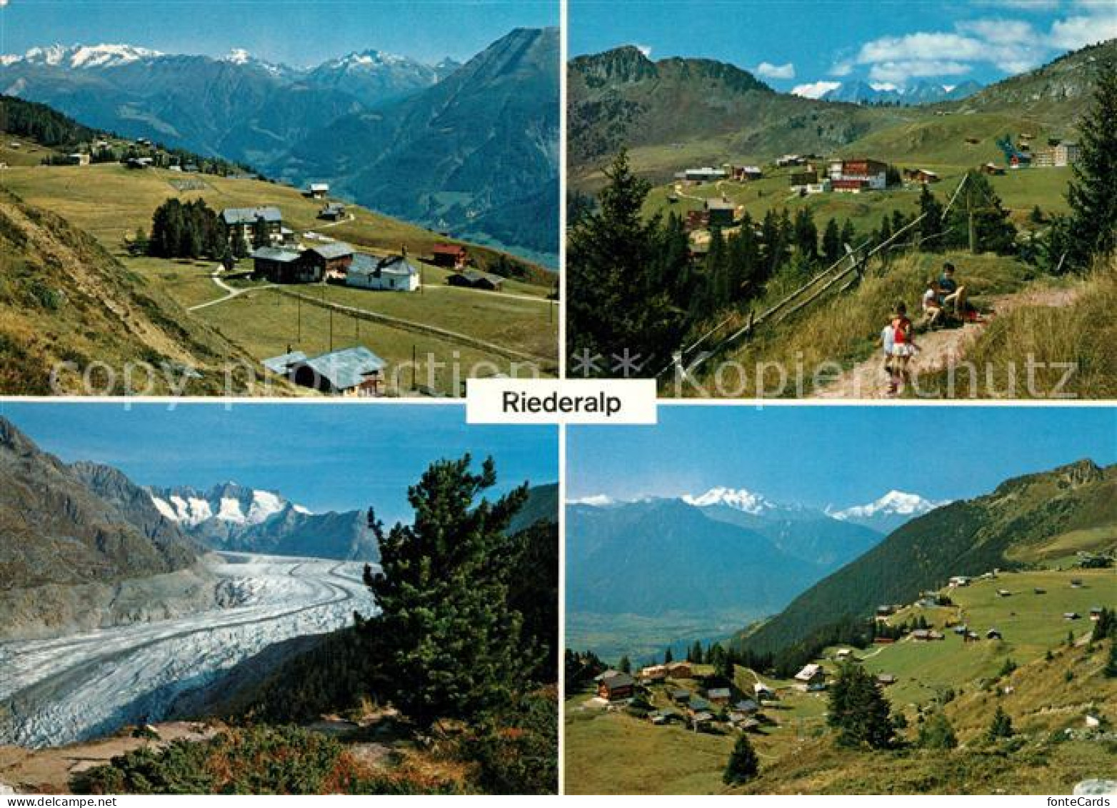 13295486 Riederalp Aletschgletscher Panorama Riederalp - Sonstige & Ohne Zuordnung