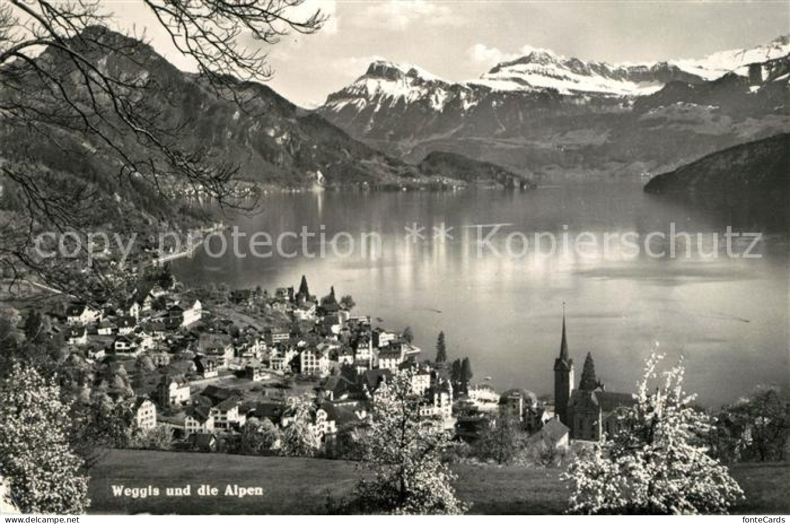 13190096 Weggis Vierwaldstaettersee Panorama  Weggis Vierwaldstaettersee - Autres & Non Classés