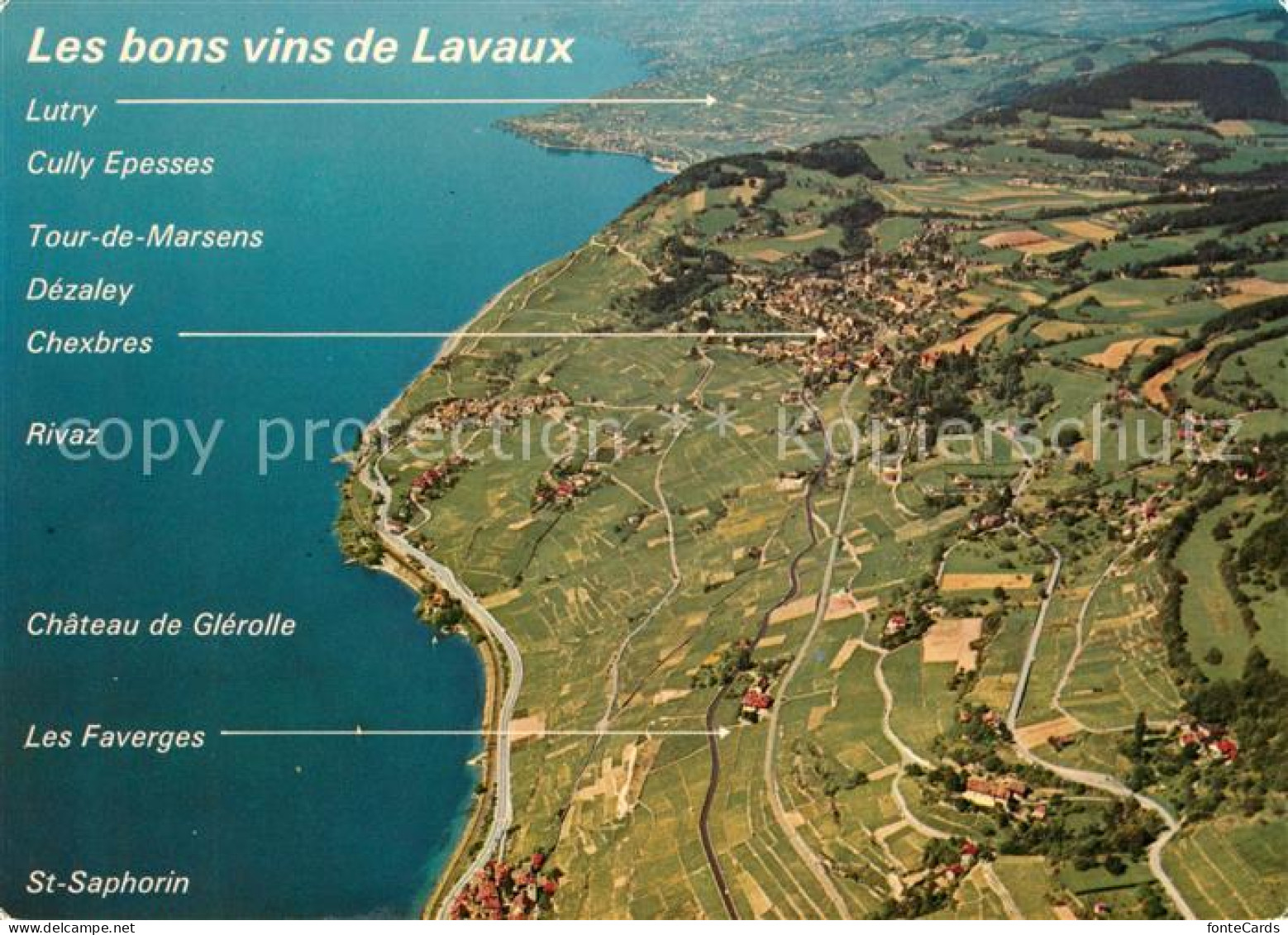 13105356 Lausanne VD Les Coteaux De Lavaux Entre Lausanne Et Vevey Vue Aerienne  - Autres & Non Classés
