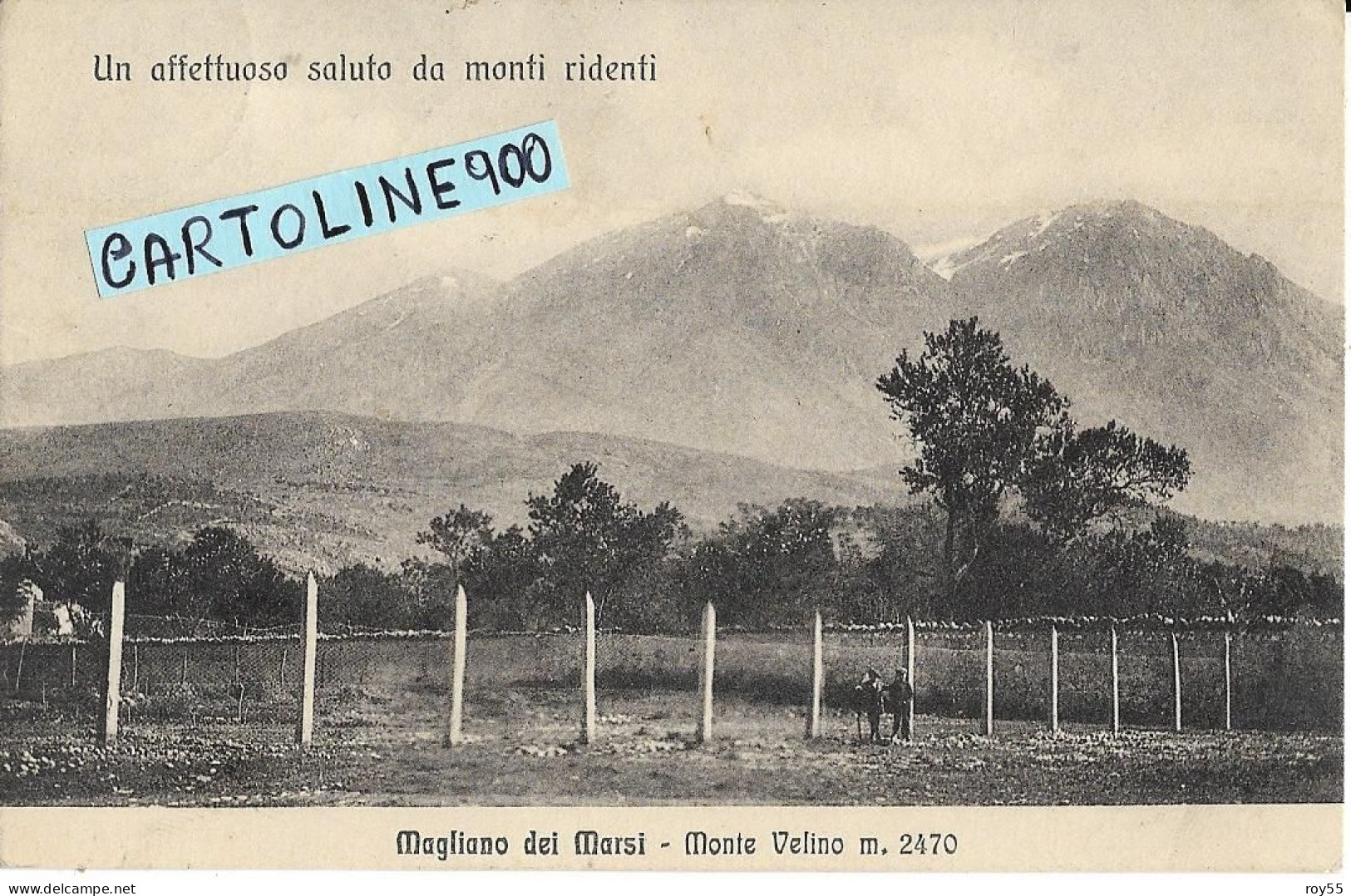 Abruzzo-l'aquila-magliano Dei Marsi Veduta Campo Recintato E Monte Velino Primi 900 (picc./v.retro) - Altri & Non Classificati