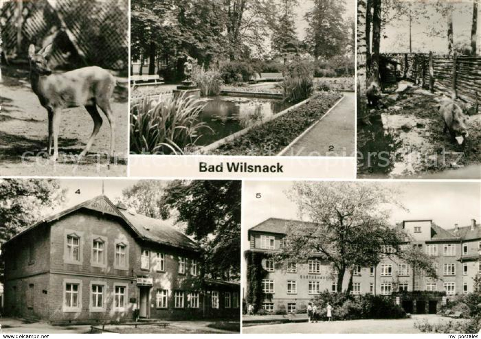 73140327 Bad Wilsnack Tierpark Park Haus Birkengrund Goethehaus Bad Wilsnack - Bad Wilsnack