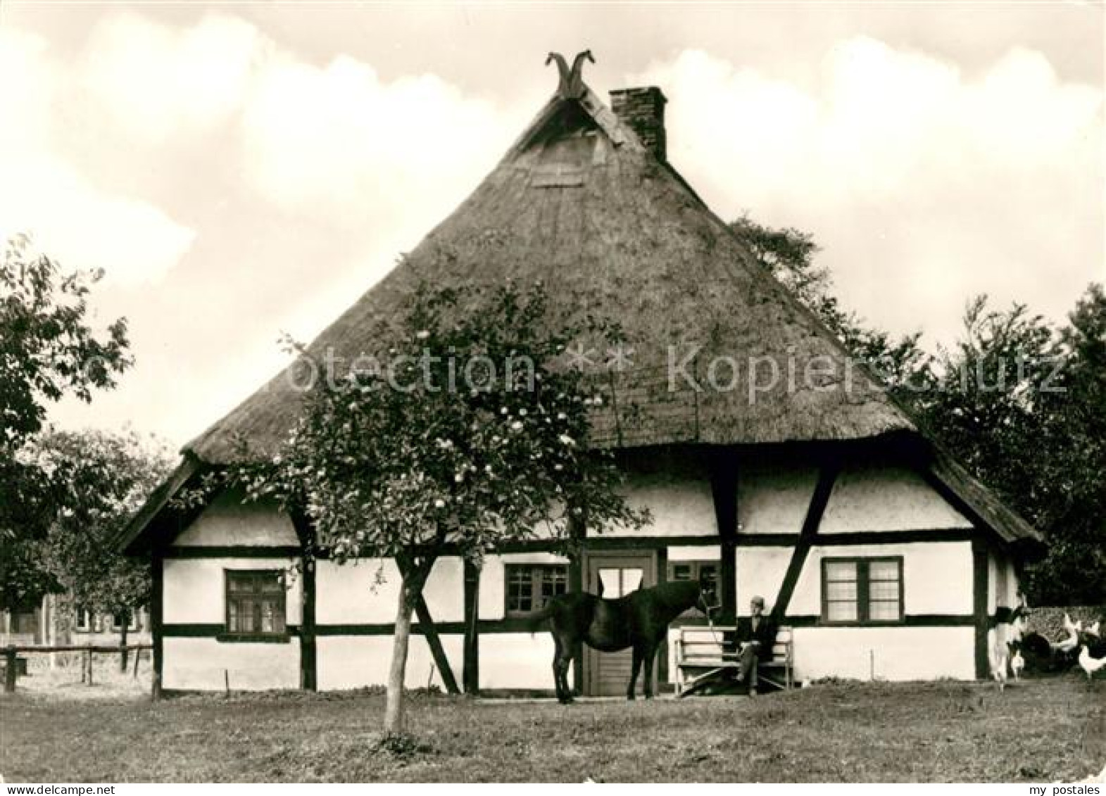 73139582 Klockenhagen Denkmalhof Pferd Klockenhagen - Ribnitz-Damgarten