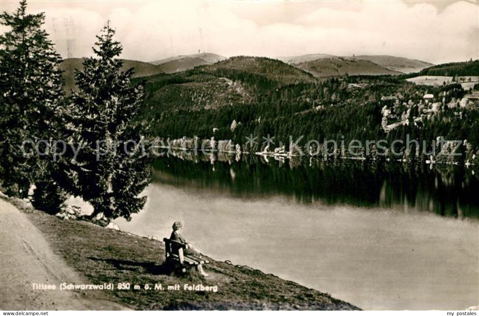 73138739 Titisee Partie Am Titisee Mit Blick Zum Feldberg Schwarzwald Titisee - Titisee-Neustadt