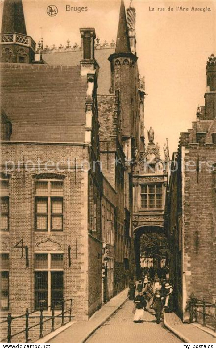 73138039 Bruges Flandre Rue De L'Ane Aveugle Bruges Flandre - Otros & Sin Clasificación