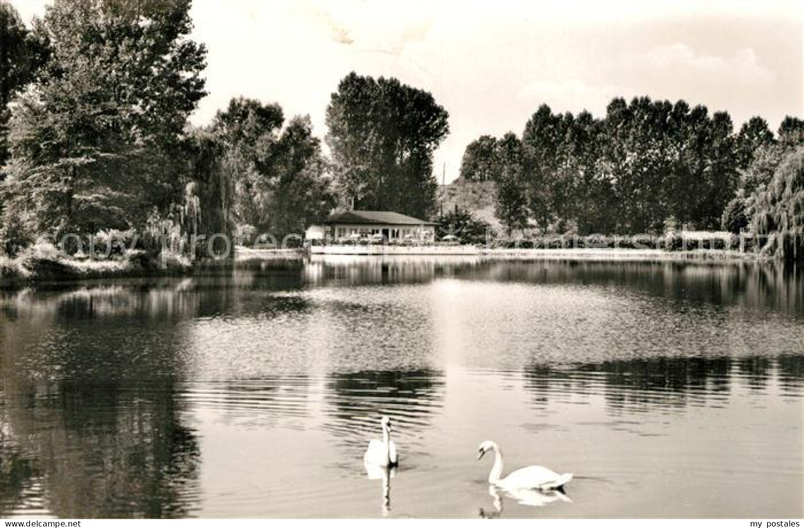 73136931 Bad Gandersheim Osterbergsee Mit Seeterrassen Schwaene Bad Gandersheim - Bad Gandersheim